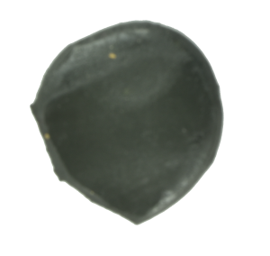 PROWESS PLASTICKÉ OLOVO / 15 g