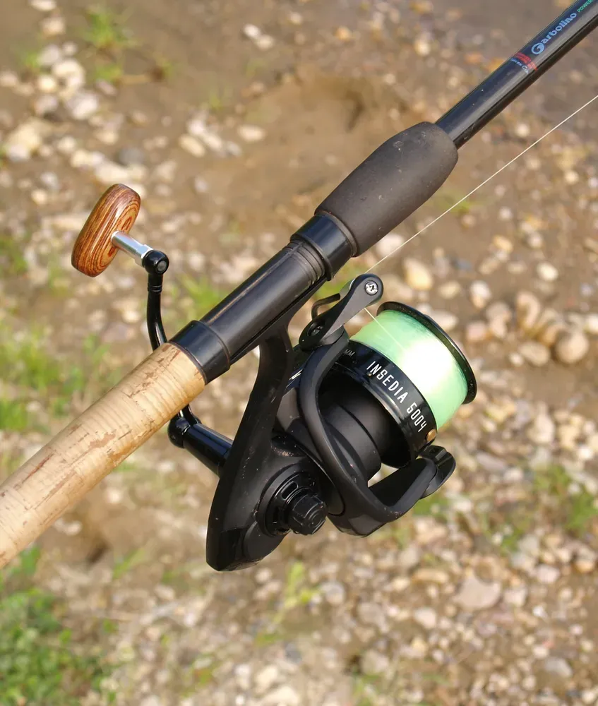 PROWESS INSEDIA 8004