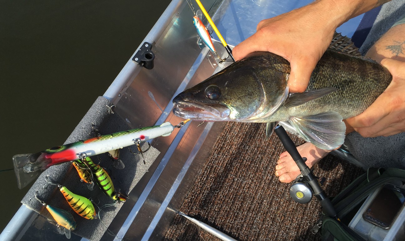 Wobler ERC DoubleD 19 cm - Perch 