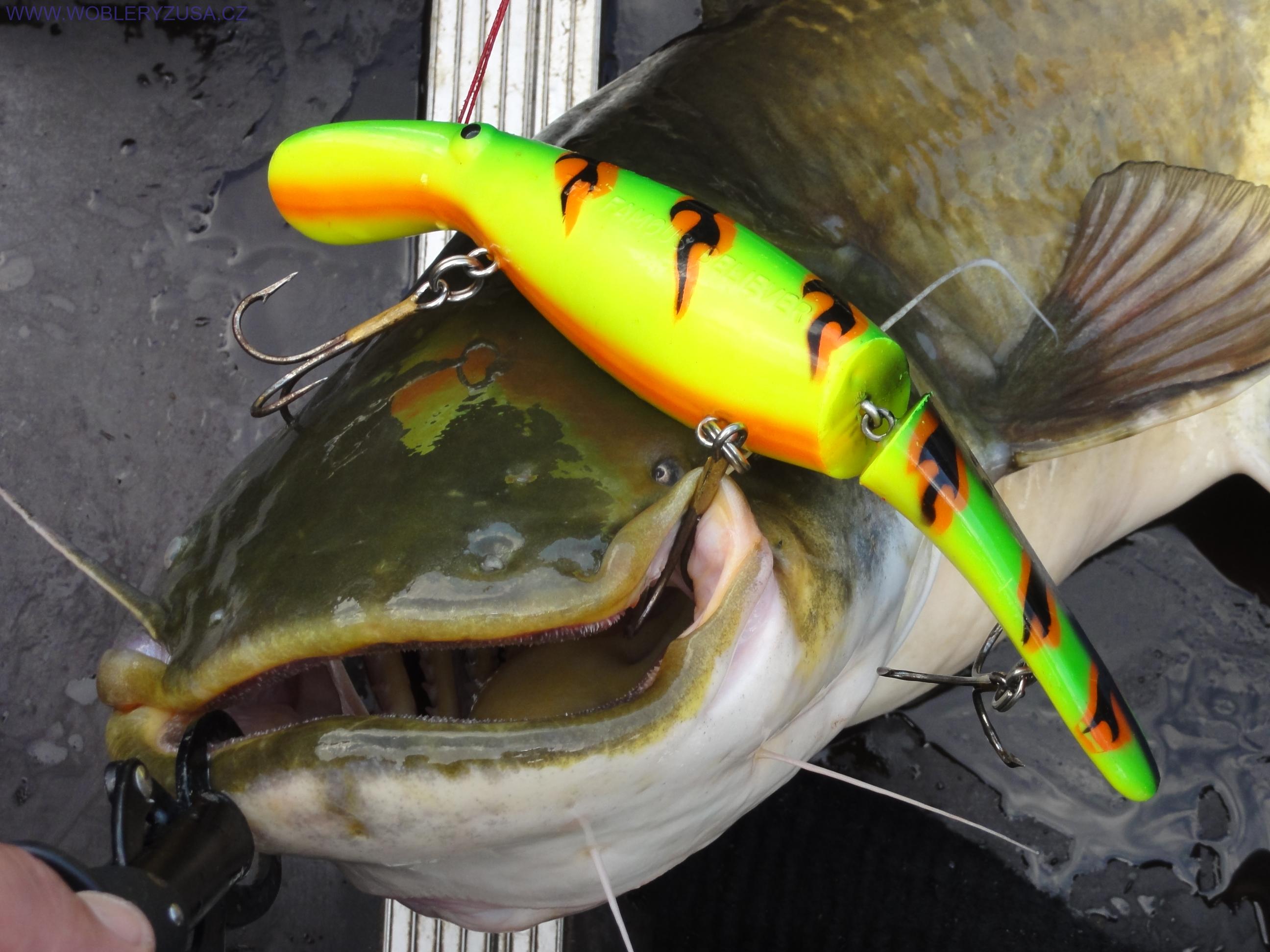 Wobler BELIEVER 25 cm - Fire Tiger