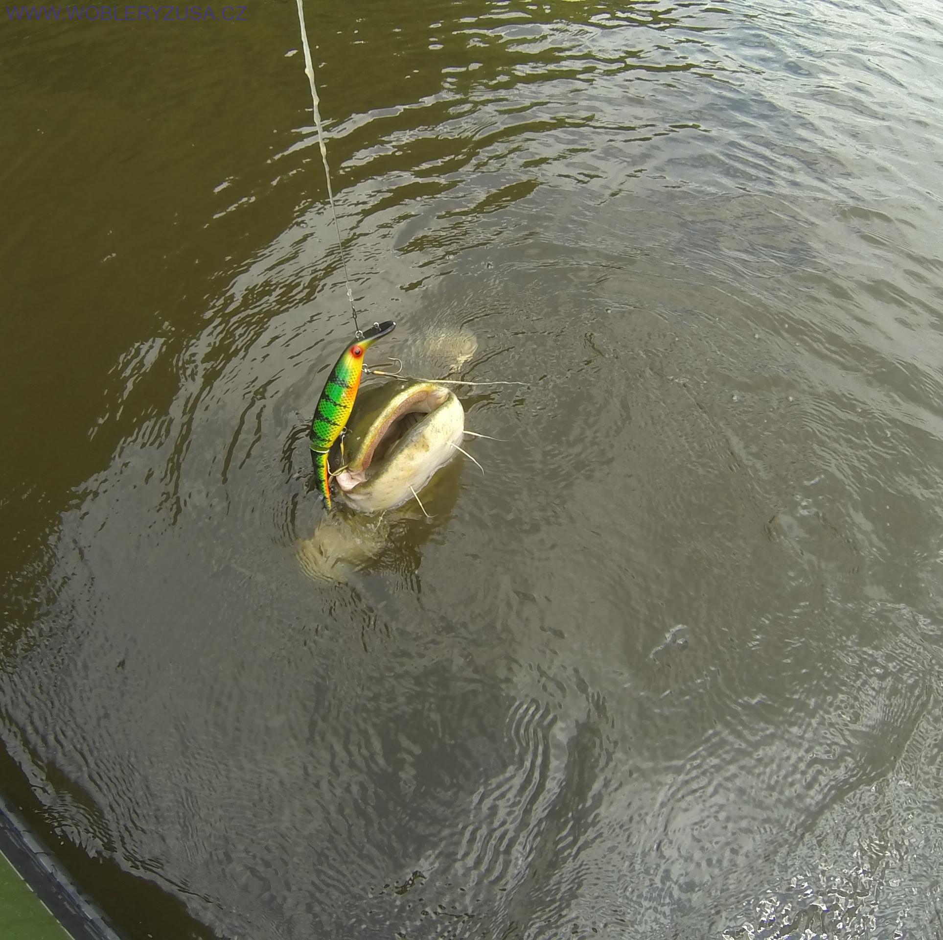 Wobler BELIEVER 25 cm - Perch