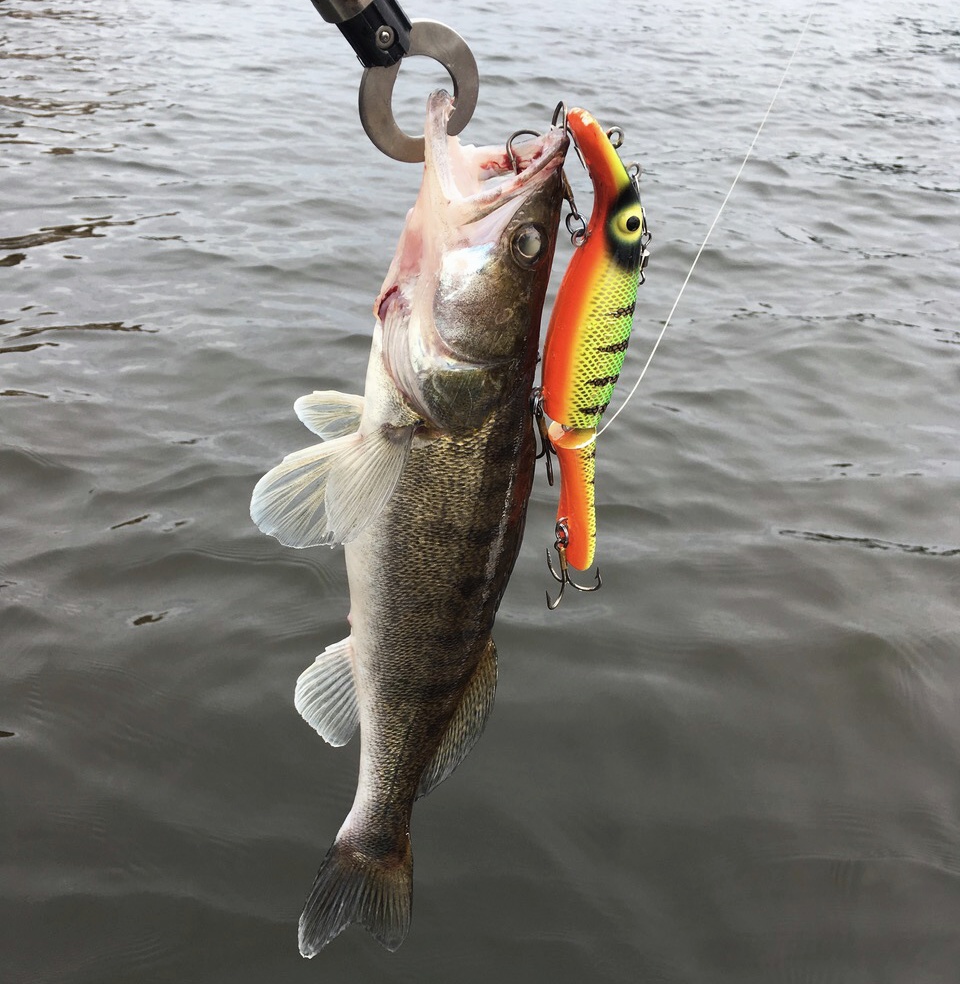 Wobler BELIEVER 20 cm - Fire Perch 