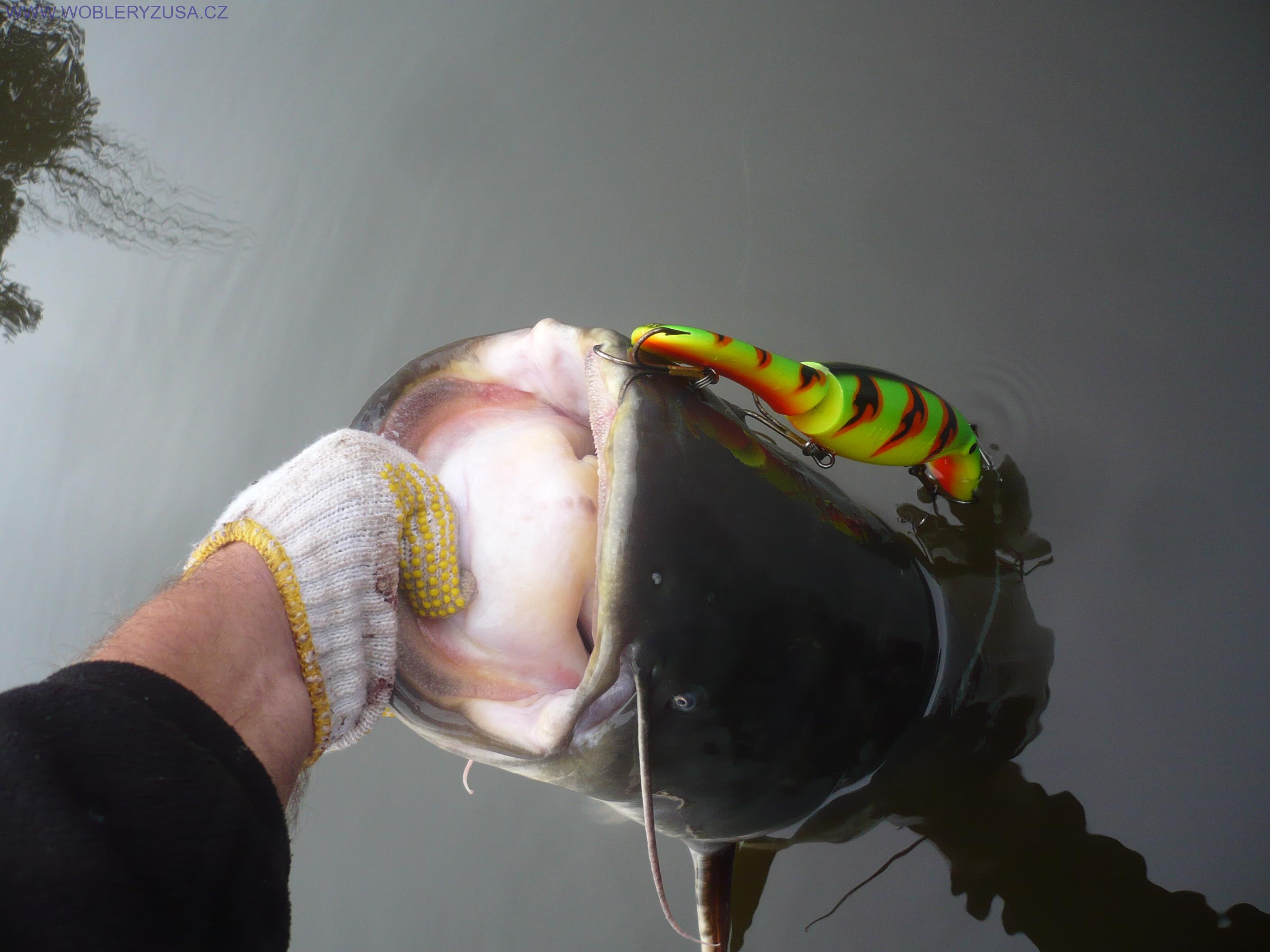 Wobler BELIEVER 25 cm - Fire Tiger