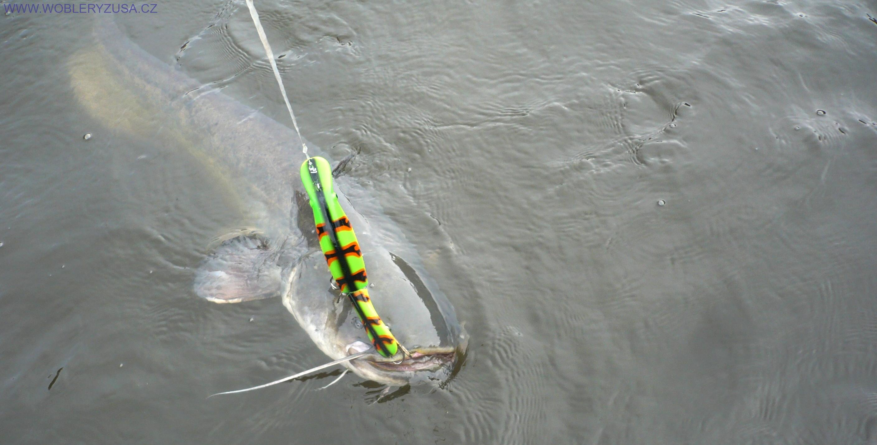 Wobler BELIEVER 25 cm - Fire Tiger