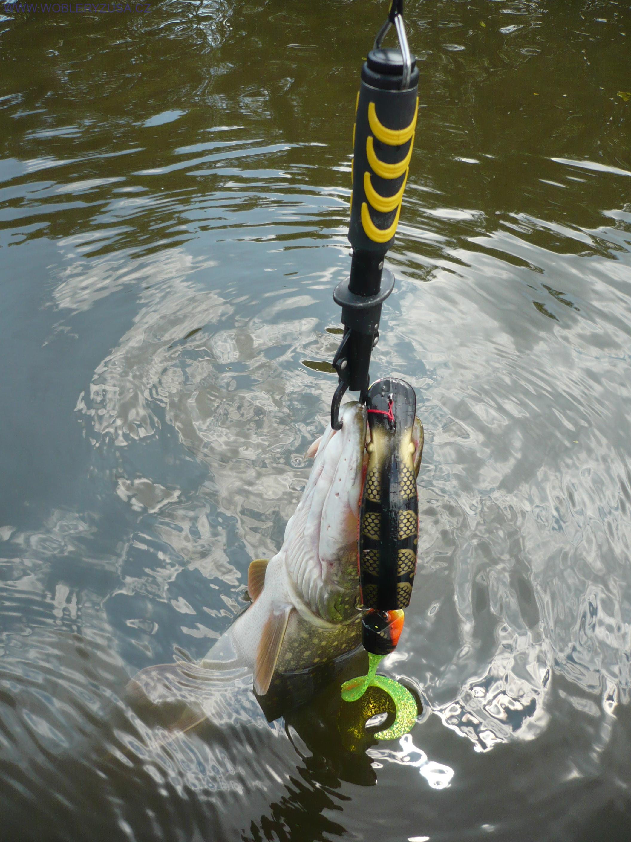 Wobler Super BELIEVER 25 (30) cm - Fire Belly